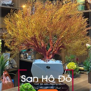 Cay San Ho Do Tan Quat 1